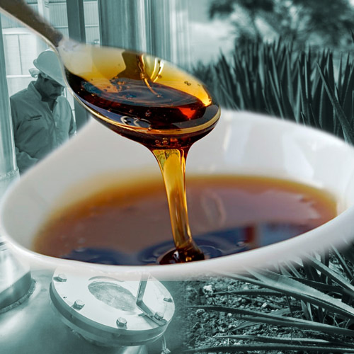 Miel de Agave Orgánica <br />(Agave Azul y Agave Salmiana)